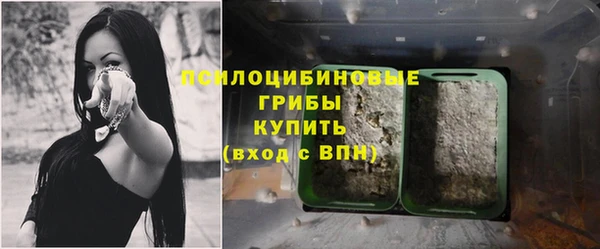 мескалин Магадан