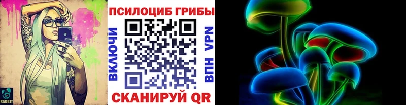 Галлюциногенные грибы Cubensis  Тутаев 