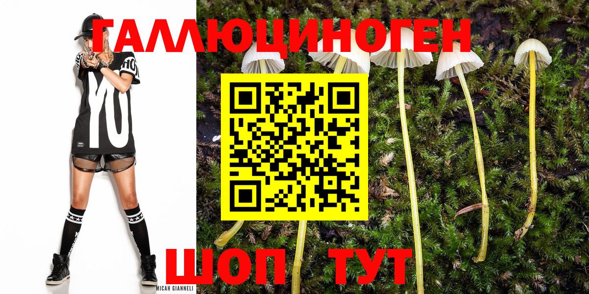 Галлюциногенные грибы MAGIC MUSHROOMS Тутаев