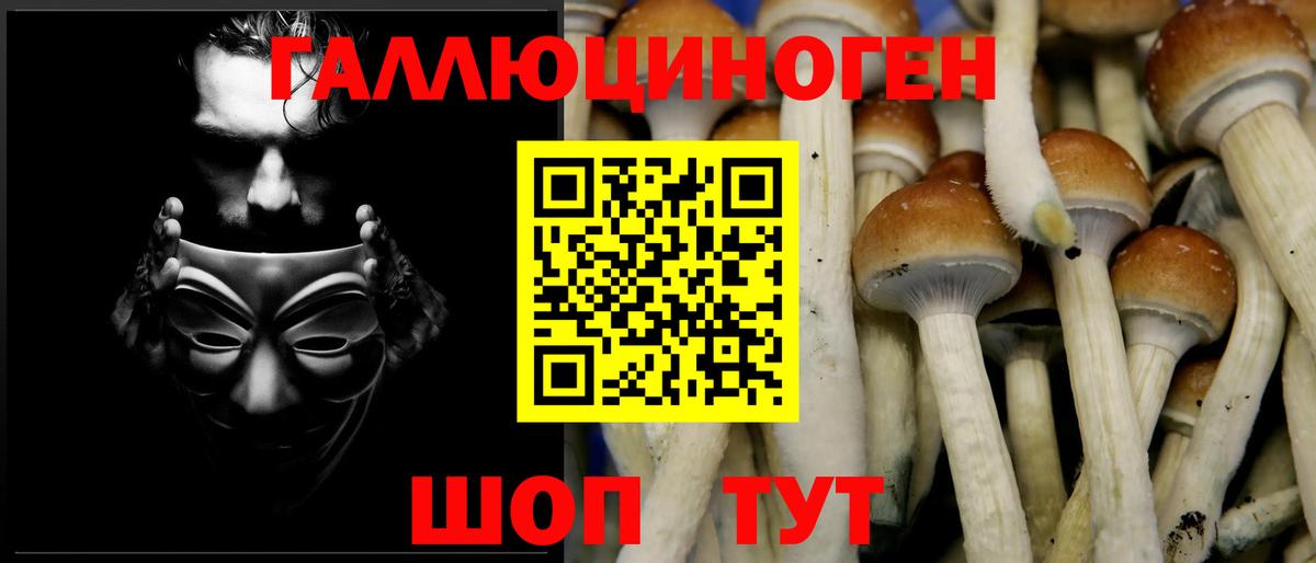 дарнет шоп  Вход с VPN  Тутаев  Псилоцибиновые грибы Psilocybine cubensis 