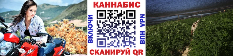 Конопля SATIVA & INDICA Тутаев