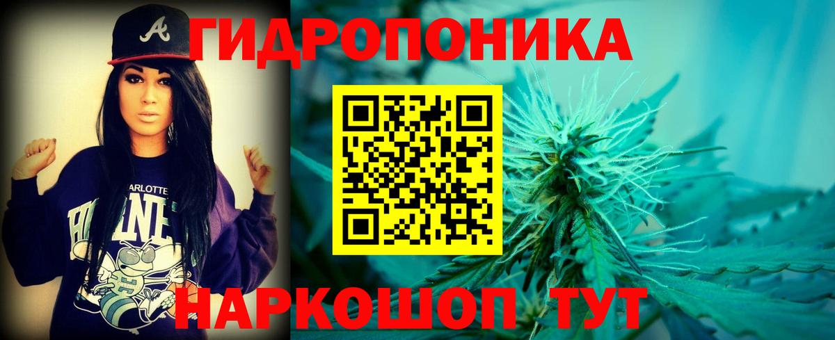 Конопля OG Kush Тутаев